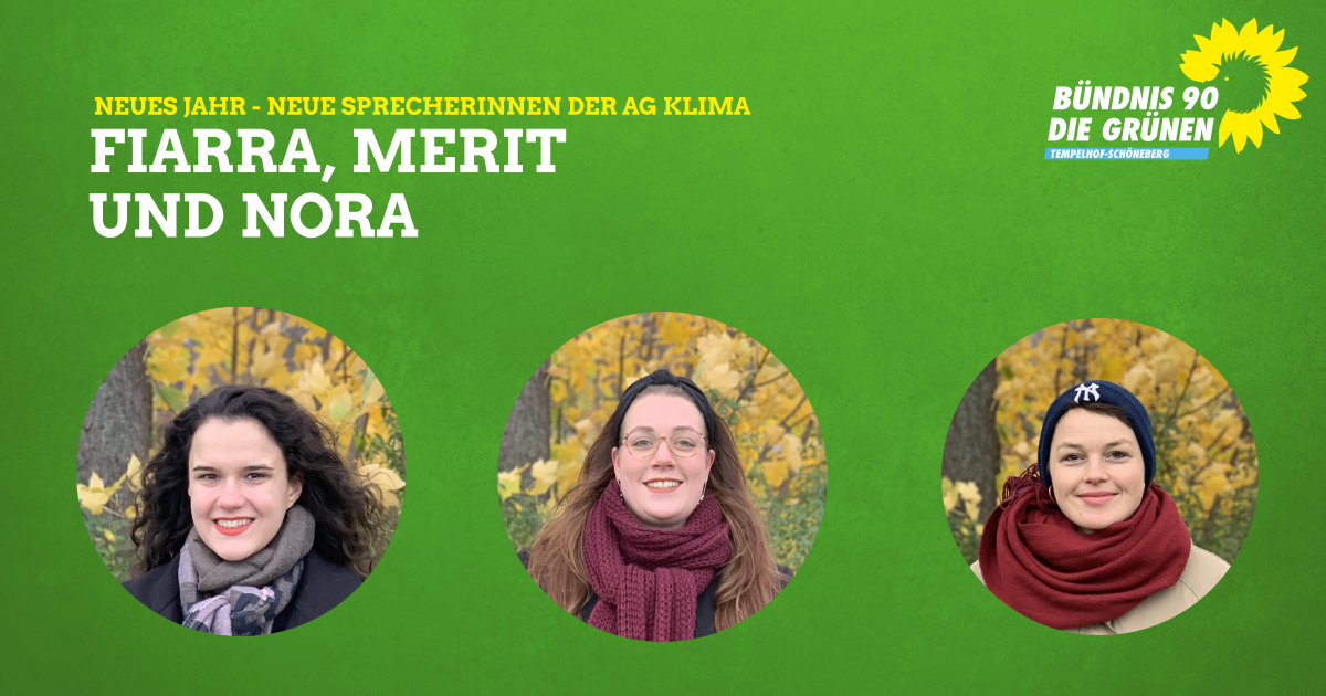 Nora, Fiarra und Merit im Park