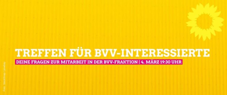 Treffen für BVV-Interessierte: Deine Fragen zur Mitarbeit in der BVV-Fraktion