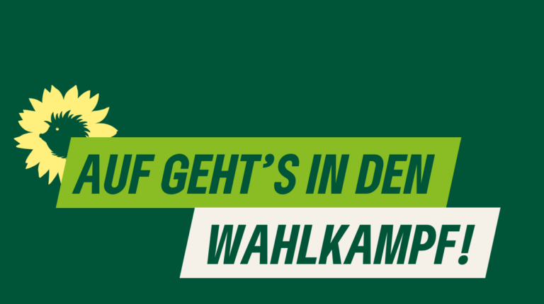 Werde aktiv im Wahlkampf!