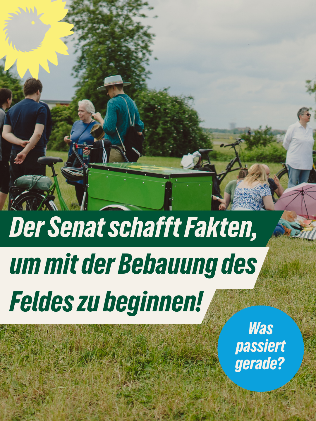 Der Senat schafft Fakten